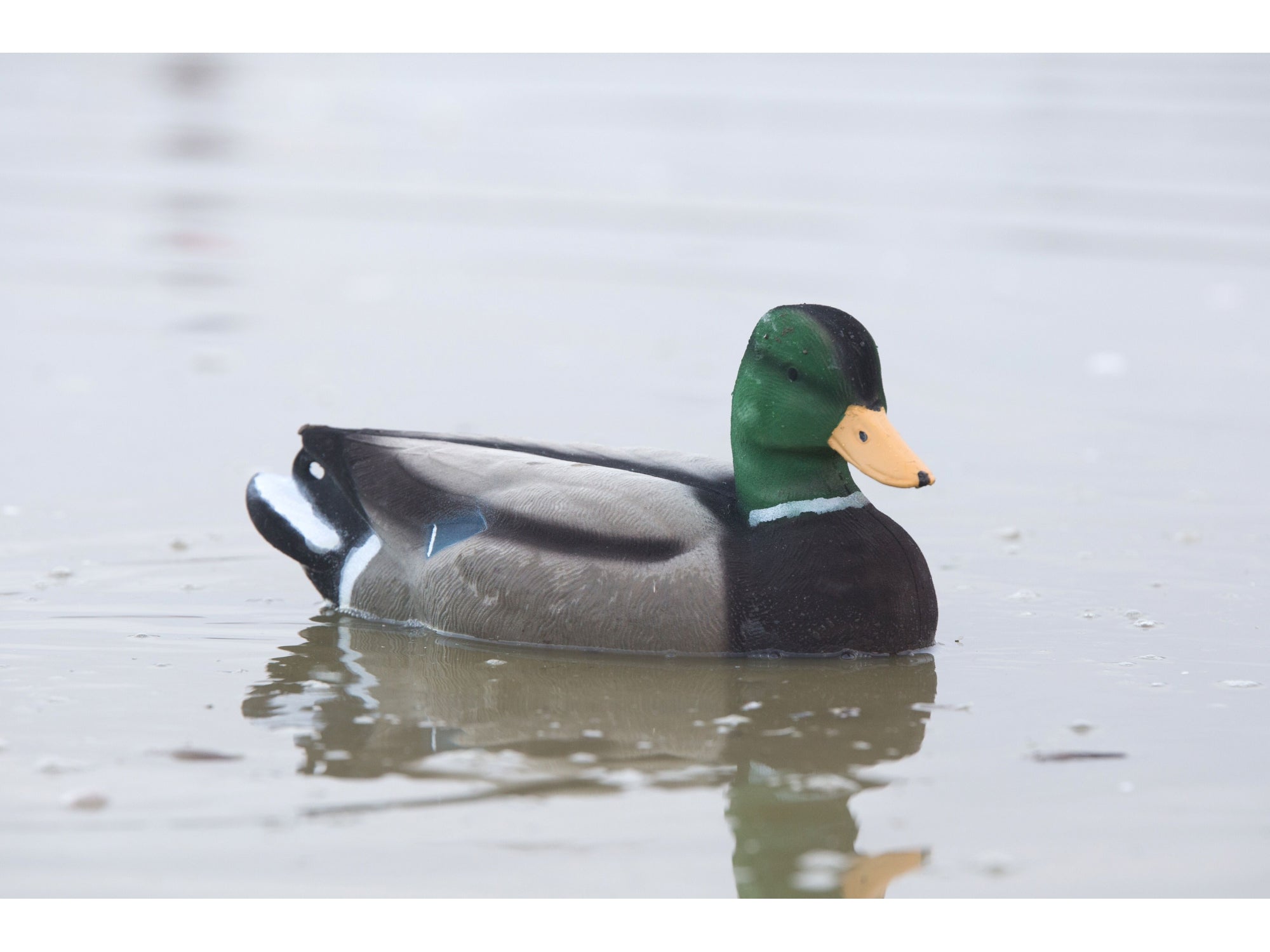 Game On Full Size Flocked Mallard Decoy Set 12 Pack