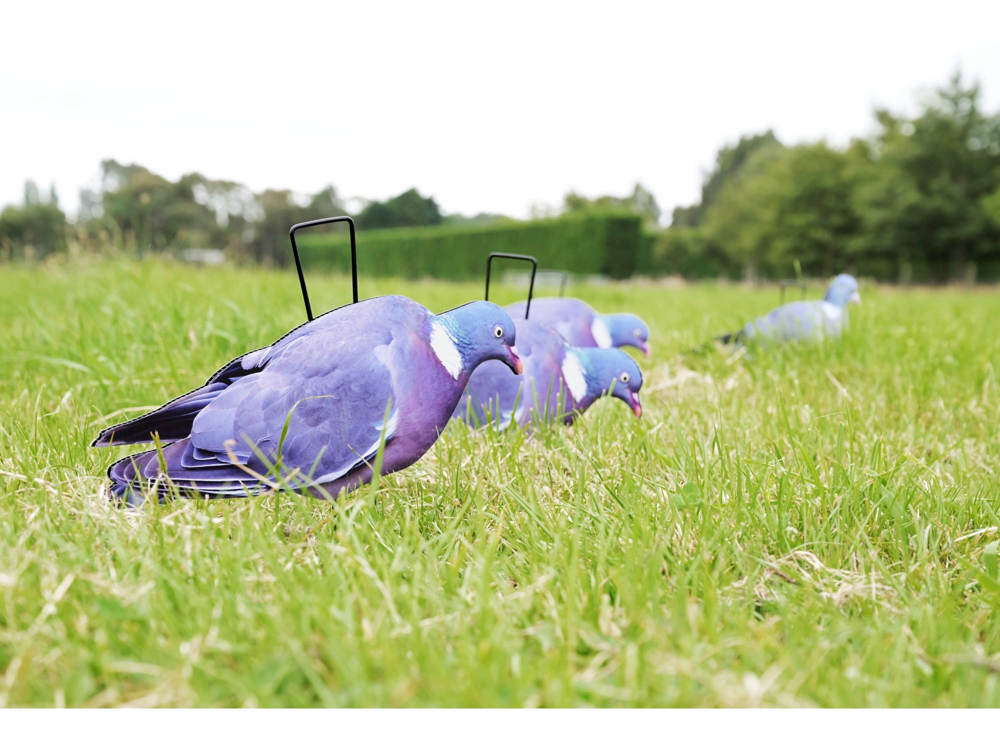 Game On Pigeon Silhouette Decoys 12 Pack