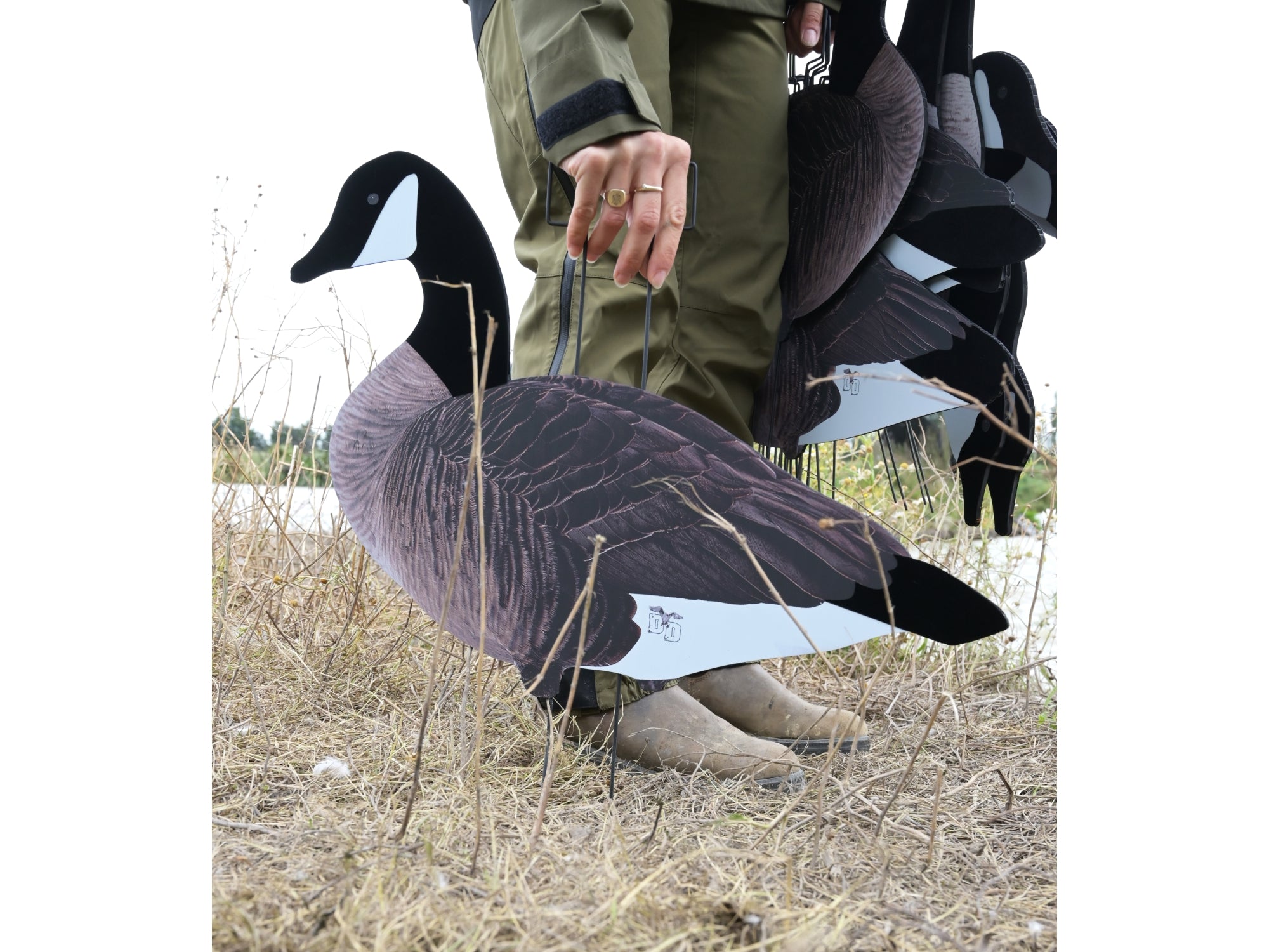 Dakota X-Treme Canada Goose Silhouette Decoys 12-Pack Flocked Head Tail