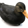 Game On 20" Magnum Black Duck Decoy: 6-Pack