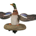 Higdon XS Mallard Drake Decoy | Floating Flasher