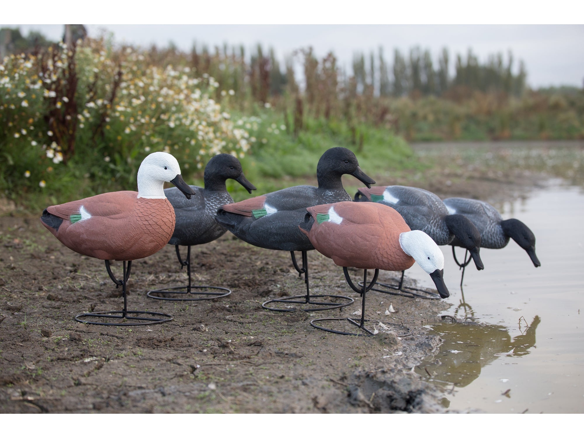 Game On Full Body Paradise Duck Field Decoy Family 6-Pack