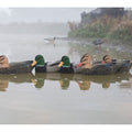 Game On Magnum 20" Mallard Flocked Body Decoy Family: 6-Pack