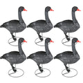 Game On Full Body Field Black Swan 6 Pack