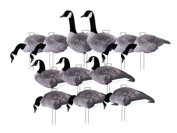 Game On Canadian Geese 2D Silhouette Decoys x12