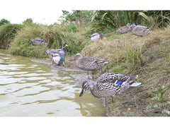 Game On Mallard 2D Silhouette Decoys x12