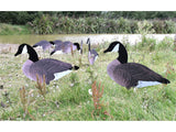 Dakota X-Treme Canada Goose Silhouettes Flocked Head & Tail x12 Set