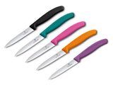 Victorinox Paring Knife 10cm | Wavy Edge