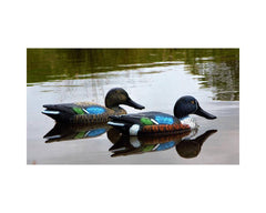 Game On Shoveler Duck Decoy Pair