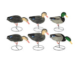 Game On Full Body Flocked Field Decoys: Family Pack