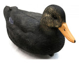 Game On 20" Magnum Black Duck Decoy: 6-Pack