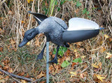 Wind Driven Landing Paradise Drake Decoy