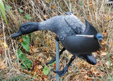 Wind Driven Landing Paradise Drake Decoy