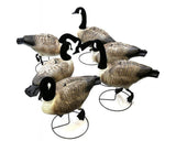 Terminator Canada Goose Full Body Pro Grade Decoys: 6-Pack