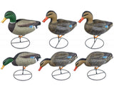 Game On Magnum Mallard 20" Field Decoys 6-Pack: 4 Hens & 2 Drakes