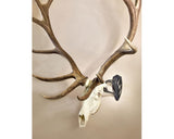 Skull Hooker Big Hooker Trophy Mount: Graphite Black