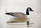 canada-goose-01-227974_S1C1A90QJNQ6.jpg