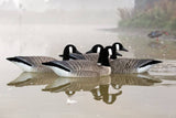 canada-goose-03-227976_S1C1A3ENC28T.jpg