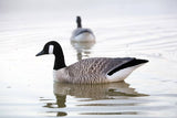 canada-goose-05-227978_S1C1AF19ZF2F.jpg